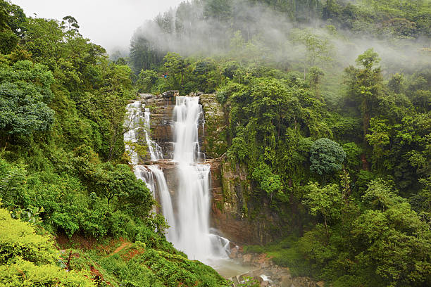 waterfall in deep forest near nuwara eliya in sri lanka.